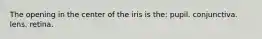 The opening in the center of the iris is the: pupil. conjunctiva. lens. retina.