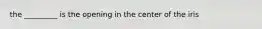 the _________ is the opening in the center of the iris