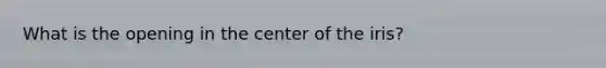 What is the opening in the center of the iris?