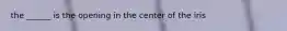 the ______ is the opening in the center of the iris