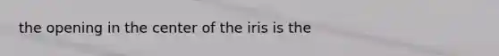 the opening in the center of the iris is the