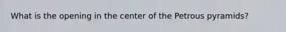 What is the opening in the center of the Petrous pyramids?