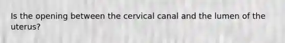 Is the opening between the cervical canal and the lumen of the uterus?