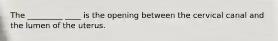 The _________ ____ is the opening between the cervical canal and the lumen of the uterus.