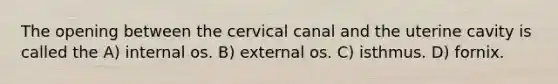 The opening between the cervical canal and the uterine cavity is called the A) internal os. B) external os. C) isthmus. D) fornix.