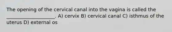 The opening of the cervical canal into the vagina is called the ____________________. A) cervix B) cervical canal C) isthmus of the uterus D) external os