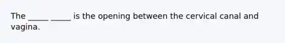 The _____ _____ is the opening between the cervical canal and vagina.