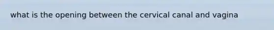 what is the opening between the cervical canal and vagina