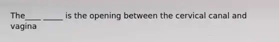 The____ _____ is the opening between the cervical canal and vagina