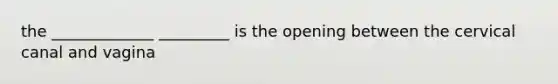 the _____________ _________ is the opening between the cervical canal and vagina