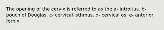 The opening of the cervix is referred to as the a- introitus. b- pouch of Douglas. c- cervical isthmus. d- cervical os. e- anterior fornix.