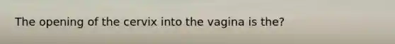 The opening of the cervix into the vagina is the?