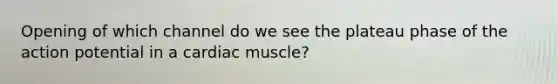 Opening of which channel do we see the plateau phase of the action potential in a cardiac muscle?