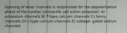 Opening of what channels is responsible for the depolarization phase of the cardiac contractile cell action potential? A) potassium channels B) T-type calcium channels C) funny channels D) L-type calcium channels E) voltage- gated sodium channels