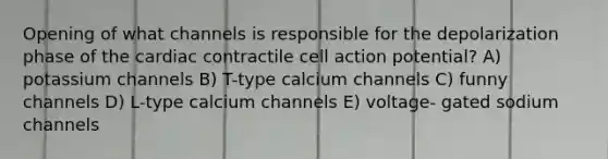 Opening of what channels is responsible for the depolarization phase of the cardiac contractile cell action potential? A) potassium channels B) T-type calcium channels C) funny channels D) L-type calcium channels E) voltage- gated sodium channels