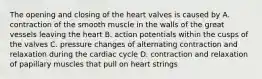 The opening and closing of the heart valves is caused by A. contraction of the smooth muscle in the walls of the great vessels leaving the heart B. action potentials within the cusps of the valves C. pressure changes of alternating contraction and relaxation during the cardiac cycle D. contraction and relaxation of papillary muscles that pull on heart strings