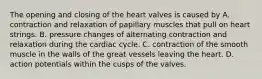 The opening and closing of the heart valves is caused by A. contraction and relaxation of papillary muscles that pull on heart strings. B. pressure changes of alternating contraction and relaxation during the cardiac cycle. C. contraction of the smooth muscle in the walls of the great vessels leaving the heart. D. action potentials within the cusps of the valves.