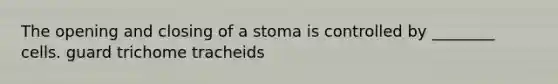 The opening and closing of a stoma is controlled by ________ cells. guard trichome tracheids