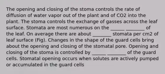 The opening and closing of the stoma controls the rate of diffusion of water vapor out of the plant and of CO2 into the plant. The stoma controls the exchange of gasses across the leaf surface. Stomata are most numerous on the ______ ________ of the leaf. On average there are about ________ stomata per cm2 of leaf surface (Fig). Changes in the shape of the guard cells bring about the opening and closing of the stomatal pore. Opening and closing of the stoma is controlled by ______ ________ of the guard cells. Stomatal opening occurs when solutes are actively pumped or accumulated in the guard cells