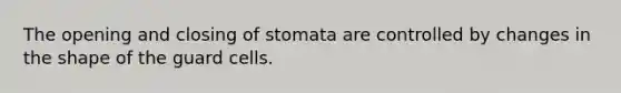 The opening and closing of stomata are controlled by changes in the shape of the guard cells.