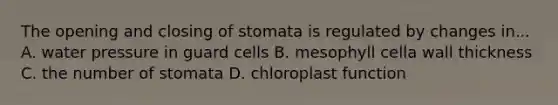 The opening and closing of stomata is regulated by changes in... A. water pressure in guard cells B. mesophyll cella wall thickness C. the number of stomata D. chloroplast function