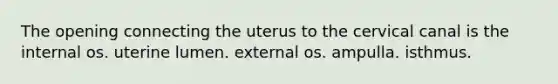 The opening connecting the uterus to the cervical canal is the internal os. uterine lumen. external os. ampulla. isthmus.