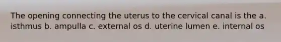 The opening connecting the uterus to the cervical canal is the a. isthmus b. ampulla c. external os d. uterine lumen e. internal os