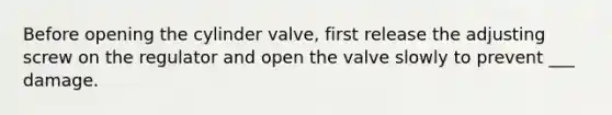 Before opening the cylinder valve, first release the adjusting screw on the regulator and open the valve slowly to prevent ___ damage.