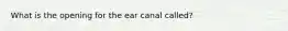 What is the opening for the ear canal called?