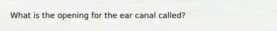 What is the opening for the ear canal called?