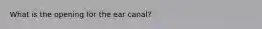 What is the opening for the ear canal?