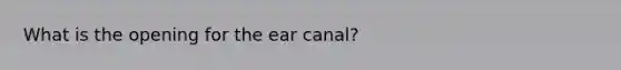 What is the opening for the ear canal?