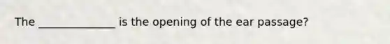 The ______________ is the opening of the ear passage?