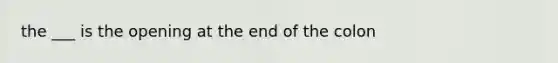 the ___ is the opening at the end of the colon