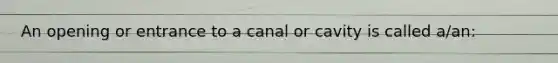 An opening or entrance to a canal or cavity is called a/an: