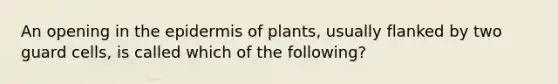 An opening in the epidermis of plants, usually flanked by two guard cells, is called which of the following?