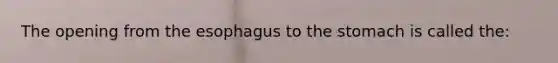 The opening from the esophagus to the stomach is called the: