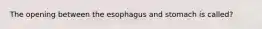 The opening between the esophagus and stomach is called?