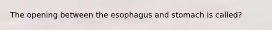 The opening between the esophagus and stomach is called?