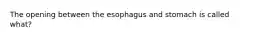 The opening between the esophagus and stomach is called what?