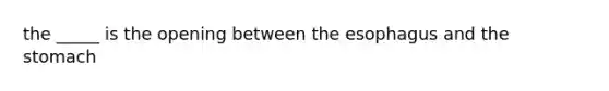 the _____ is the opening between the esophagus and the stomach