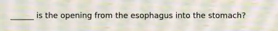 ______ is the opening from the esophagus into the stomach?