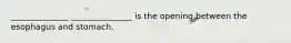 ______________ _______________ is the opening between the esophagus and stomach.