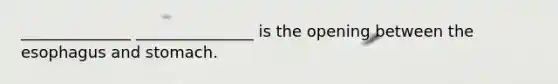 ______________ _______________ is the opening between <a href='https://www.questionai.com/knowledge/kSjVhaa9qF-the-esophagus' class='anchor-knowledge'>the esophagus</a> and stomach.