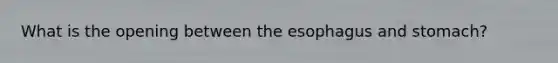 What is the opening between the esophagus and stomach?