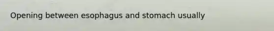 Opening between esophagus and stomach usually