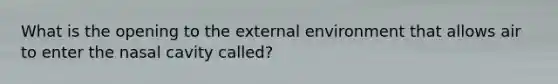 What is the opening to the external environment that allows air to enter the nasal cavity called?