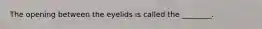 The opening between the eyelids is called the ________.