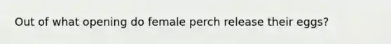 Out of what opening do female perch release their eggs?
