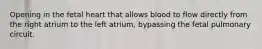 Opening in the fetal heart that allows blood to flow directly from the right atrium to the left atrium, bypassing the fetal pulmonary circuit.